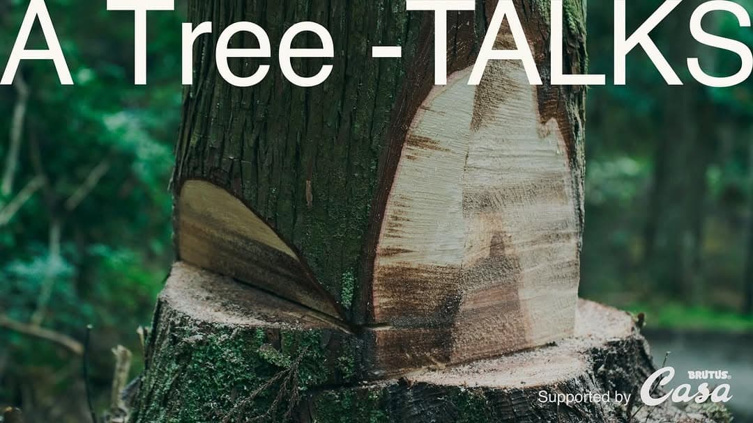 A Tree - TALKS Special Session