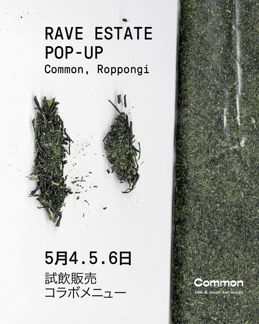 RAVE ESTATE Pop-up