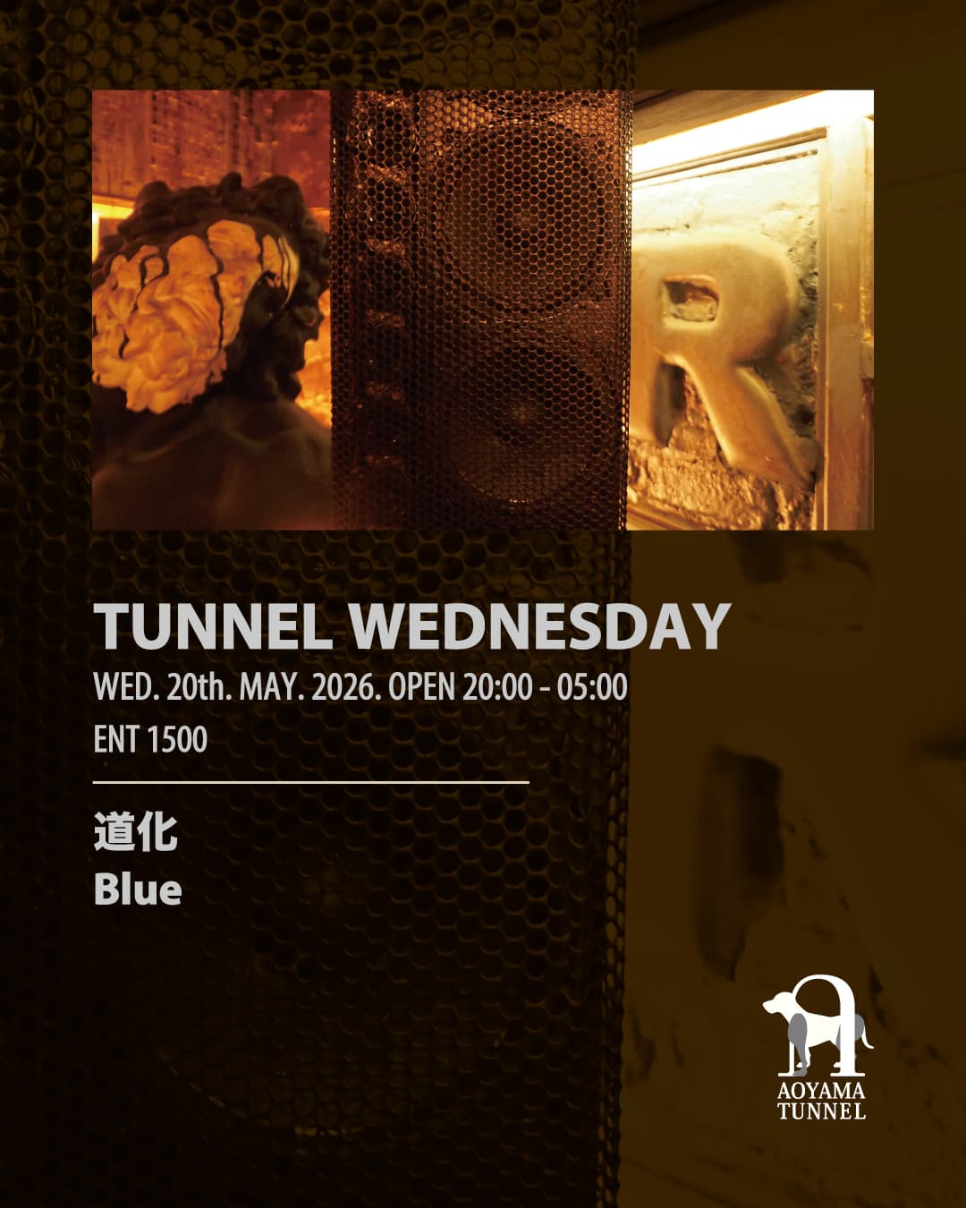 TUNNEL WEDNESDAY