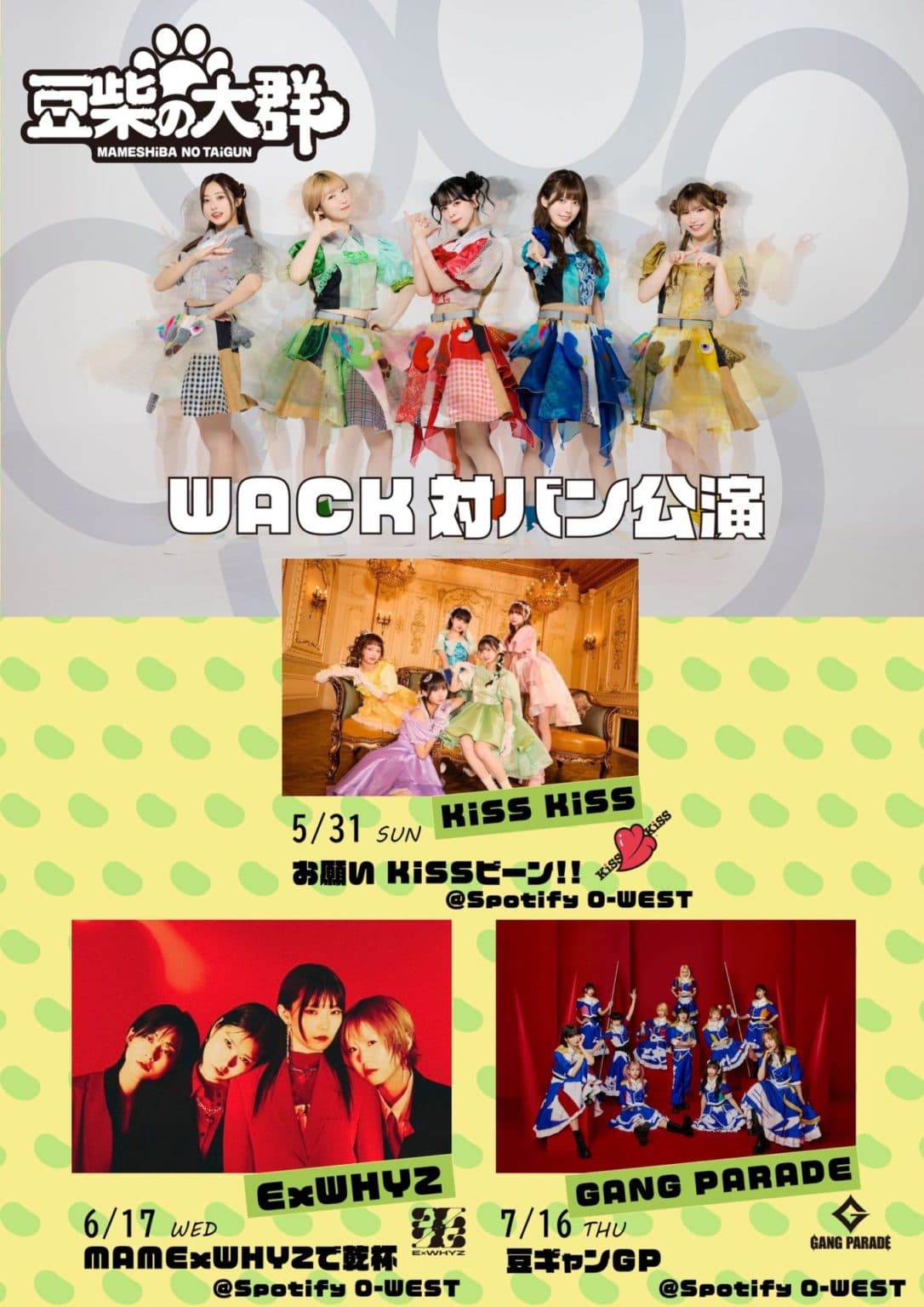 MAMExWHYZで乾杯