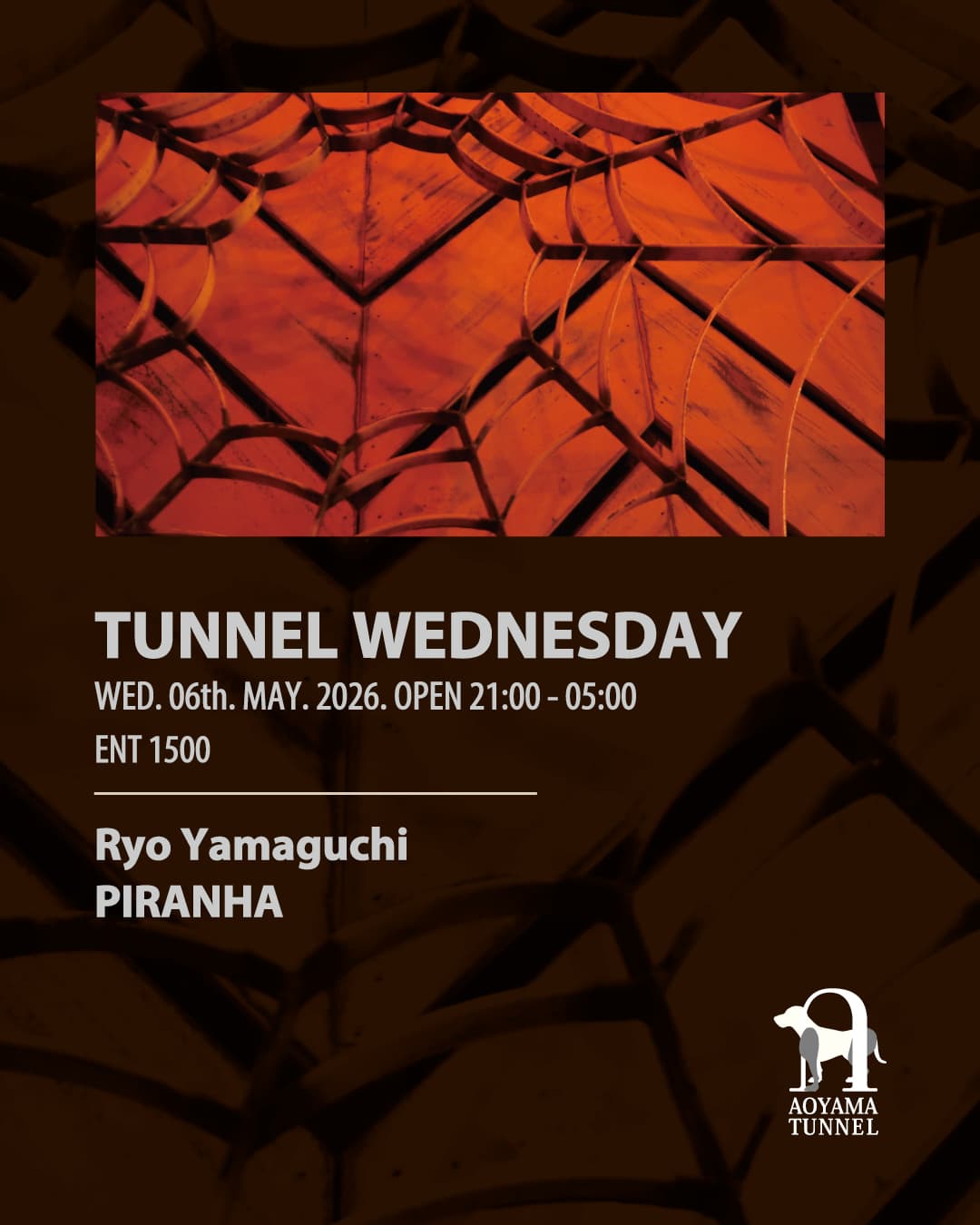 TUNNEL WEDNESDAY